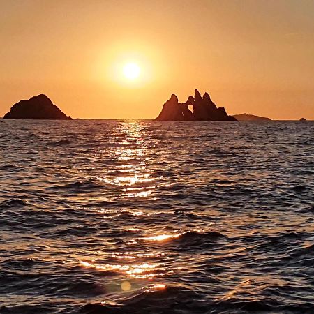 Porquerolles - Nuit Insolite A Bord Du Defi Fou ภายนอก รูปภาพ