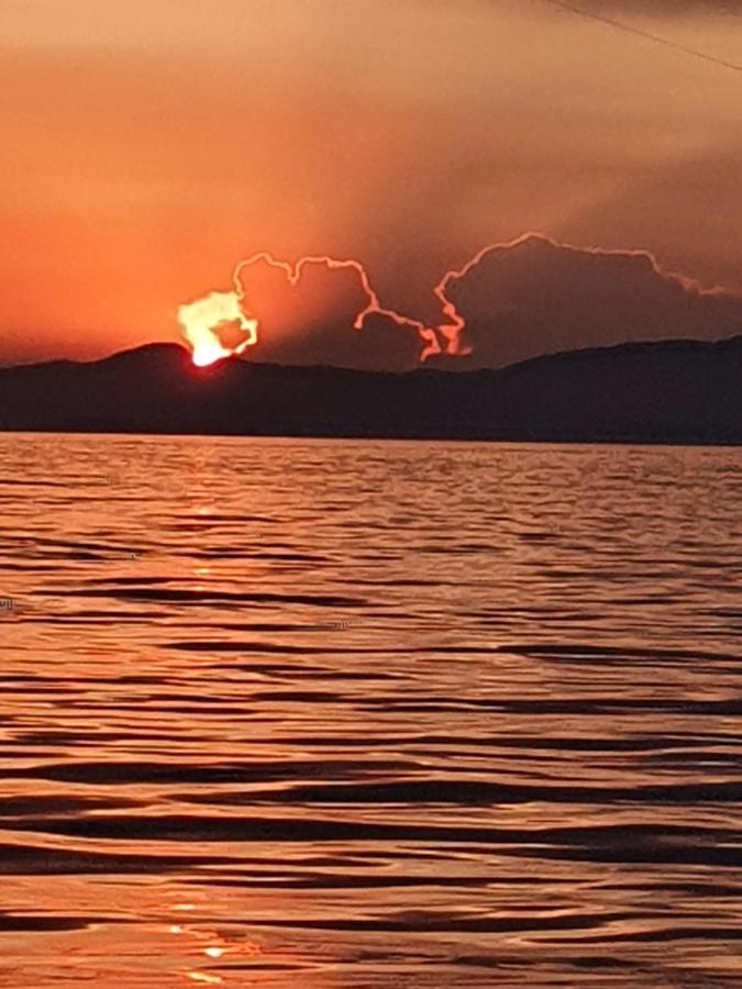 Porquerolles - Nuit Insolite A Bord Du Defi Fou ภายนอก รูปภาพ