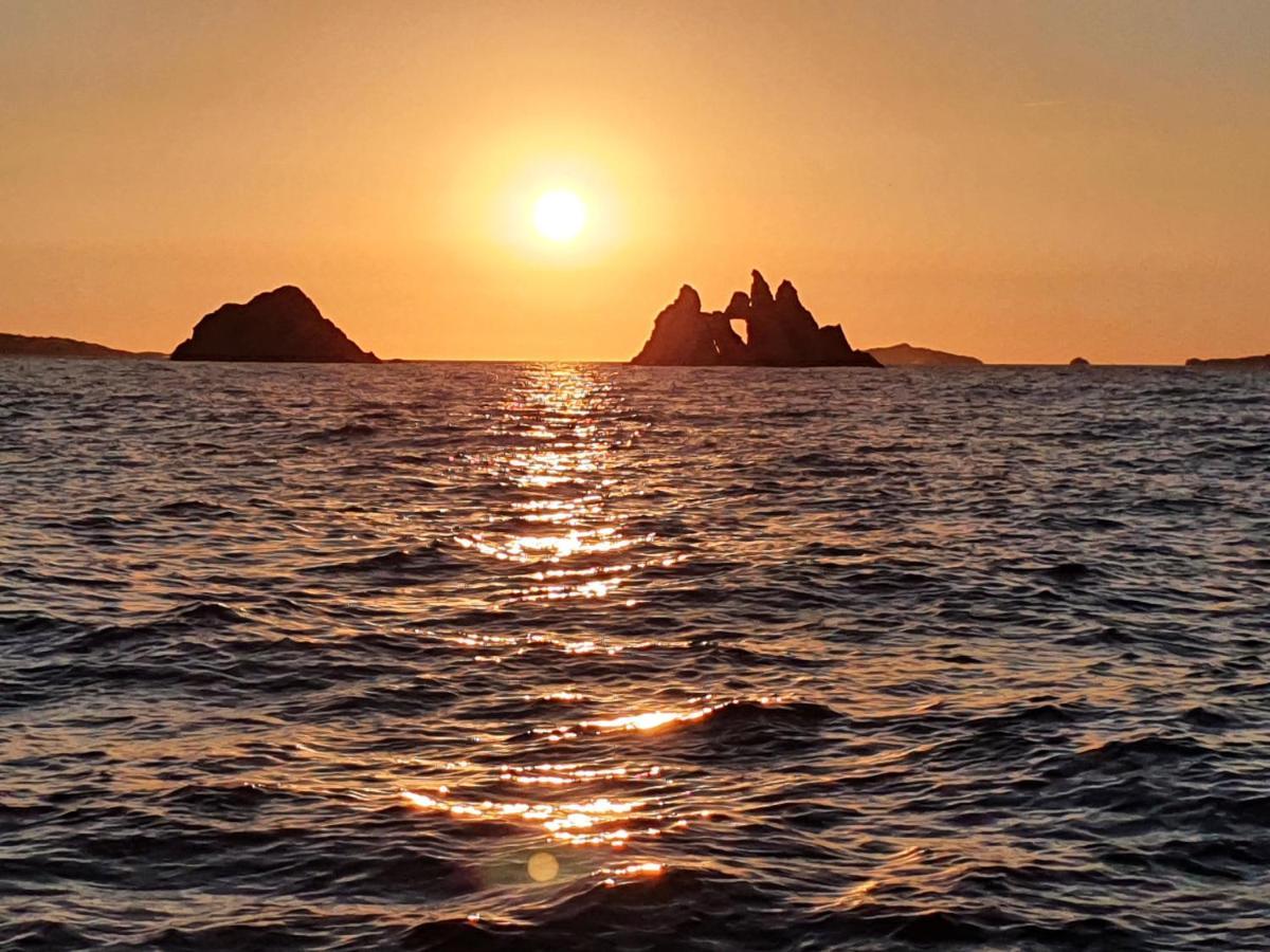 Porquerolles - Nuit Insolite A Bord Du Defi Fou ภายนอก รูปภาพ