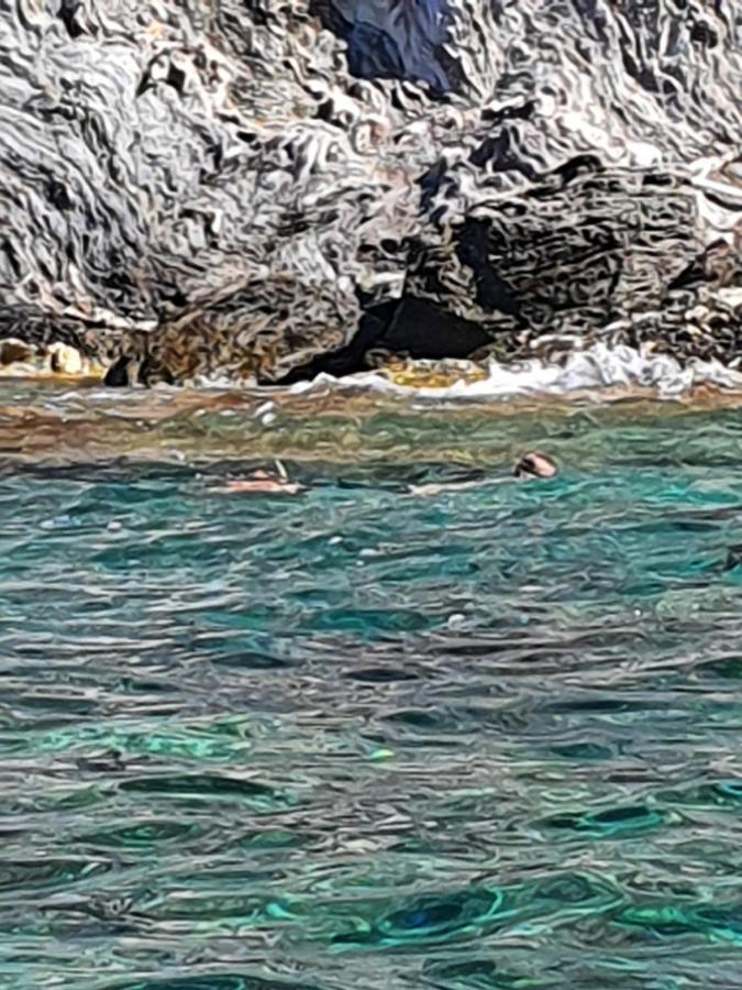 Porquerolles - Nuit Insolite A Bord Du Defi Fou ภายนอก รูปภาพ